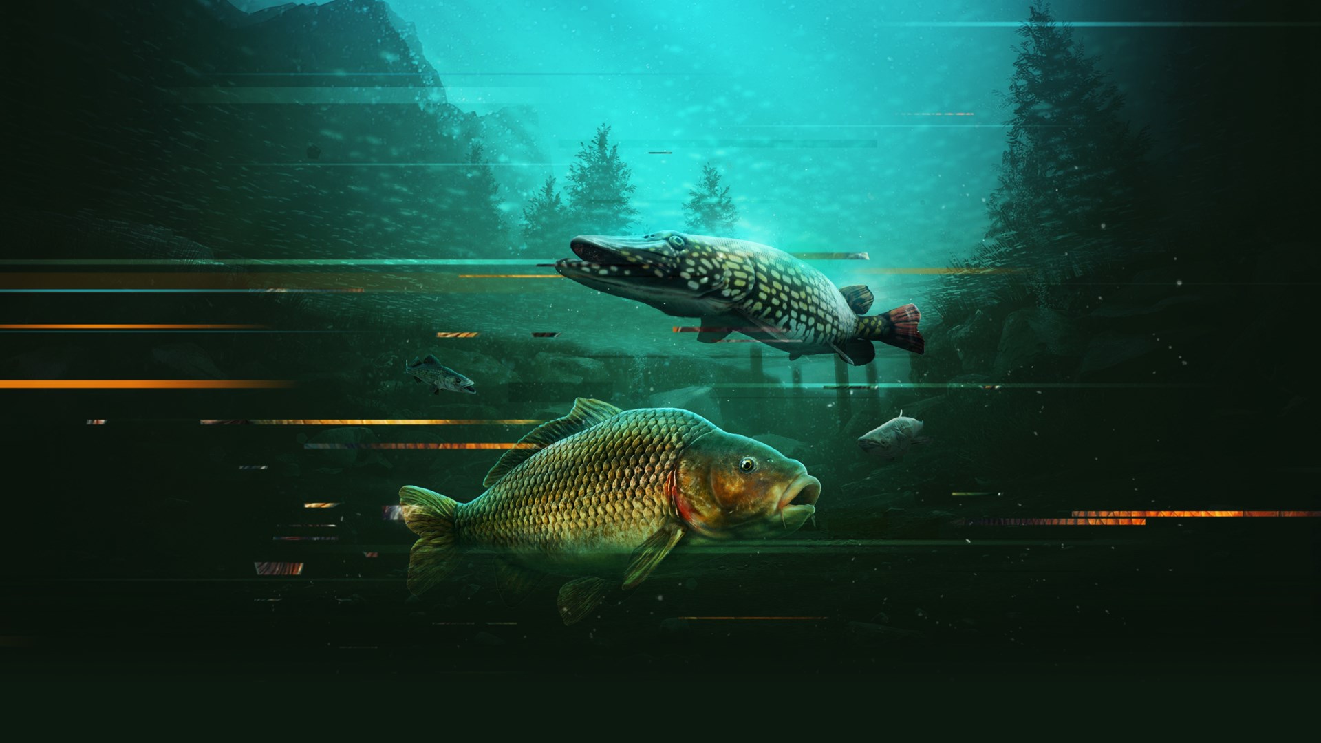 The Catch Carp & Coarse - Dovetail Games NEW Fishing Game!